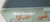 2000 2001 2002 JAGUAR S-TYPE S Type FRONT LH Driver Door Window Glass Tinted