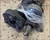 1998 99 00 01 02 2003 Jaguar XJ8 SWB Transmission Drive Shaft Propshaft