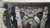 1998 99 00 01 02 2003 Jaguar XJ8 XJ8L Steering Wheel With Switches Gray AGD