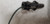 1987 1988 Thunderbird Cougar Front Seat Belt Blue RH Passenger Side