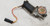 1987 1988 Thunderbird Cougar Window Motor RH Passenger Side
