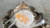 1987 1988 Thunderbird Cougar 3.8L V6 Timing Cover E7ED-6059-FA