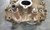 Lower Intake Manifold 3.8L V6 1987 1988 Thunderbird Cougar RF-E7DE-9K461-CB