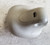2006 2007 2008 2009 FUSION MILAN Sun Visor Clip Gray LH or RH