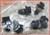 2002 2003 2004 2005 Jaguar X-Type 2.5L V6 Flywheel Pressure Plate Bolts