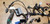 Dash Wire Harness w/ Auto Climate Control 1994 1995 Thunderbird Cougar F4SB14401HF