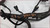 1994 Ford Ranger 2.3L 5 Speed Engine Fuel Harness without Cam Sensor