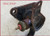 1993 94 95 96 Lincoln Mark VIII Rear Coolant Hose Assembly 4.6L 32v