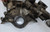 1997 to 2008 F150 E150 E250 4.2L V6 Timing Chain Cover with Oil Pump 1L3E-6059-A