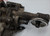 1997 to 2008 F150 E150 E250 4.2L V6 Timing Chain Cover with Oil Pump 1L3E-6059-A