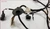 Jaguar XJ6 XJ12 Mid 1996 to 1997 Tail light Rear Side Marker Wire Harness LNA3082BA