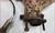 Exhaust Manifold Set with EGR Port 1989-1992 Thunderbird SC Cougar XR7