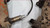 Exhaust Manifold Set with EGR Port 1989-1992 Thunderbird SC Cougar XR7