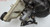 2002 Lincoln LS Brake Master Cylinder with Booster 1W43-2B195-FA