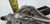 1998 99 00 01 2002 Continental Wiper Motor and Gear Assembly
