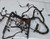 1999 Lincoln Continental Engine Fuel PCM Wire Harness