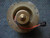 Blower Motor and Fan 1989 1990 1991 Thunderbird Cougar