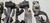 Seat Belt Set Gray 1997 Thunderbird Cougar Grade B