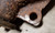 8.8" Differential 2.73 Limited Slip 1989-1997 Thunderbird Cougar Mark VIII