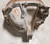 8.8" Differential 2.73 Limited Slip 1989-1997 Thunderbird Cougar Mark VIII