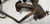 Exhaust Manifold Set with EGR Tube 3.8L 1996 1997 Thunderbird Cougar