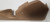 Seat Switch Trim LH Mocha 1989-1993 Thunderbird Cougar Grade A