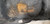 Trunk Carpet 1989 90 91 92 93 94 95 96 1997 Ford Thunderbird Mercury Cougar