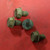 Water Pump Pulley Bolt Set V8 5.0L 1991 1992 1993 Thunderbird Cougar