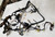Dash Wire Harness with Auto Climate Control 1993 Thunderbird Cougar