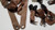 Seat Belt Set Tan Saddle 1996 Thunderbird Cougar Grade A