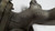 1997 1998 Lincoln Mark VIII Upper Intake Manifold with Throttle Body 4.6L 4V