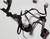 JBL Radio Premium Sound Wire Harness w/o OEM CD 1989-1993 Thunderbird Cougar Grade A