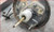 Non-ABS Master Cylinder w/ brake booster 1993 94 95 96 1997 Thunderbird Cougar
