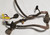 Auto Transmission Harness 4R70W 1994 1995 Thunderbird Cougar Ford OEM