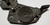 Seat Hinge RH with Gray Latch 1989 90 91 92 93 94 95 96 1997 Thunderbird Cougar