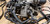 Ford Racing Supercharger M-6066-M4S2 V8 4.6L 1994 1995 Thunderbird Mustang