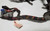 EEC-IV Engine Harness 3.8L SC  1989 Thunderbird SC Cougar XR7