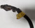 EEC-IV Engine Harness 3.8L SC  1989 Thunderbird SC Cougar XR7