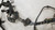 EEC-IV Harness 1990 Thunderbird SC Cougar XR7 3.8L SC