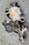 1994 1995 Ford Mustang Thunderbird SC 3.8L Timing Cover with Pump RF-F48E-6059-BA