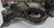 2001 02 03 2004 Ford MUSTANG 3.8 V6 Timing Chain Cover with Oil Pump 1L3E-6059-AA