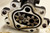 Oil Pump 1989 1990 1991 1992 1993 Thunderbird SC E8DE-6604-AA 3.8L Supercharged