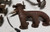 Exhaust Manifold Set with EGR Tube Valve 3.8L LX 1989-1993 Thunderbird Cougar