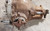 1998 1999 2000 2001 2002 2003 Jaguar XJR Rear Differential