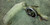 Oil Filter Mount 4.6L 1994 1995 1996 1997 Thunderbird Cougar