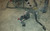 EEC-V PCM IRCM Computer Harness 4.6L V8 1997 Thunderbird Cougar