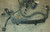 EEC-V PCM IRCM Computer Harness 4.6L V8 1997 Thunderbird Cougar