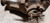 1998 1999 2000 2001 2002 2003 Jaguar XKR XK8 Rear Differential