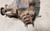 1998 1999 2000 2001 2002 2003 Jaguar XKR XK8 Rear Differential