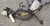 Engine Bay Harness with Fuse Box 3.8L SC 1991 Thunderbird SC F1SB-14290-EJ